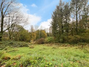 Views- click for photo gallery